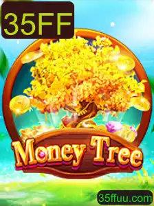 MoneyTree: Um Guia Completo para Lançamentos Recentes
